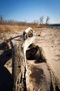 Sandy beach with a weathered log and old tire, dry grasses, trees, and water in the background.