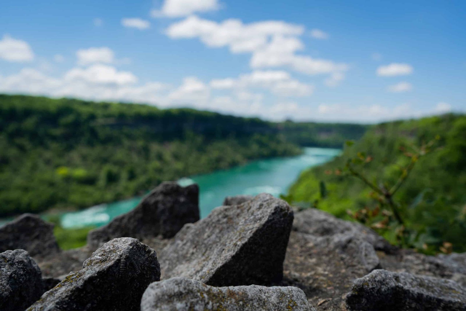 The Niagara Glen Trail is Magical